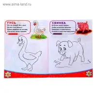 Раскраска детская &laquo;Домашние животные&raquo;, 12 стр.