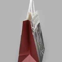 Пакет подарочный &laquo;Скандал&raquo;, Мосфильм, 22&times;22&times;11 см, крафт