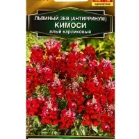 Семена цветов Львиный зев Кимоси алый карликовый Золотая серия, Ц/П,0,05 г Семена цветов Львиный зев Кимоси алый карликовый Золотая серия, Ц/П,0,05 г