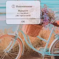 Пакет подарочный "Путь к мечте" ламинированный 18 х 22,3 х 10 см