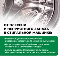 Удалитель плесени Prosept Fungi Clean, концентрат, 1 л