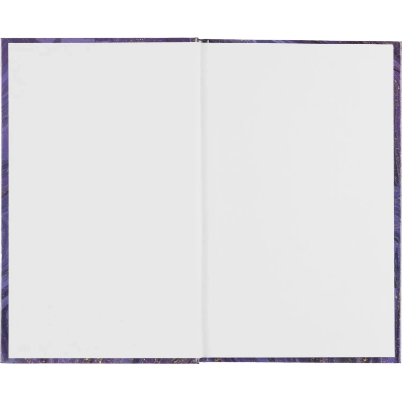 Бизнес-тетрадь А5,96л,7БЦ,клетка Attache Selection фиол