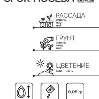Семена Гвоздика садовая "Шабо", ц/п,  розина, 0,05 г Семена Гвоздика садовая "Шабо", ц/п,  розина, 0,05 г