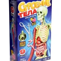 Набор для опытов по анатомии &laquo;Строение тела&raquo;, светится в темноте, с мягкими органами