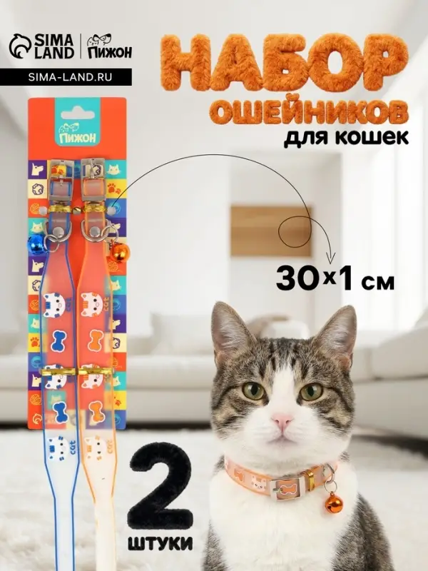 Набор ошейников для кошек &laquo;Пижон. Котя&raquo;, 30&times;1 см, оранжевый, синий