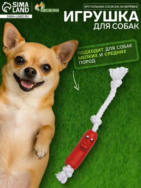 Игрушка для собак &laquo;Брутальная сосиска на верёвке&raquo;, 14 см