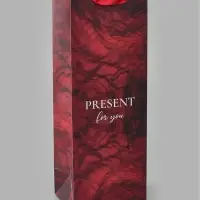Пакет ламинированный под бутылку Present for you,13&times;36&times;10 см