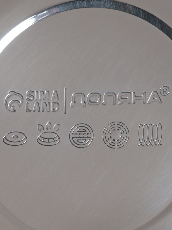 Чайник со свистком из нержавеющей стали Доляна «Квант», 2,8 л, фиксированная ручка soft-touch, цвет хромированный