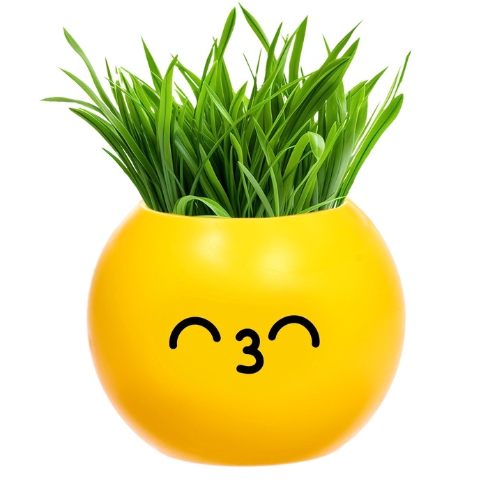 Набор для опытов, для детей «Выращиваем травку», растение в горшочке - эмодзи «Поцелуйчик» Набор для опытов, для детей «Выращиваем травку», растение в горшочке - эмодзи «Поцелуйчик»