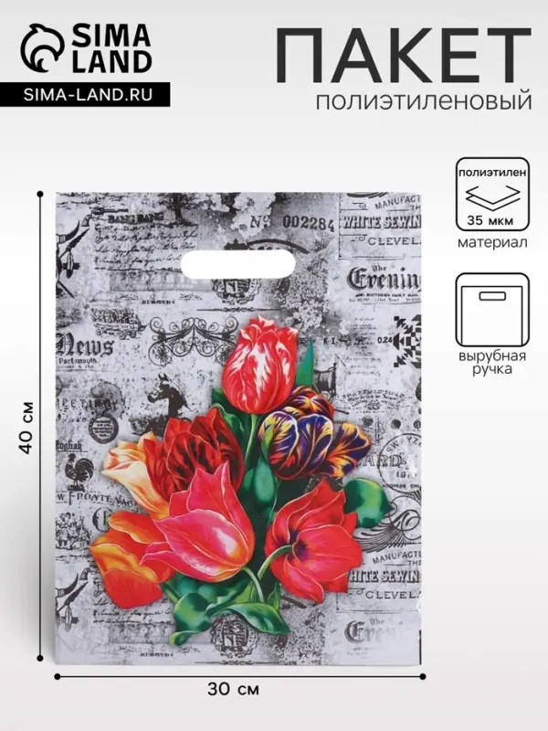 Пакет &laquo;Бристоль&raquo;, полиэтиленовый с вырубной ручкой, 30&times;40 см, 35 мкм