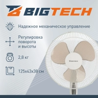 Вентилятор напольный BigTech DWBF001