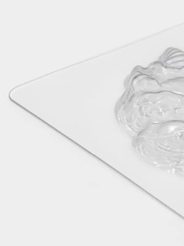 Форма для шоколада и конфет &laquo;Пони&raquo;, 5 ячеек, 24&times;18.5&times;1 см, пластик, прозрачная