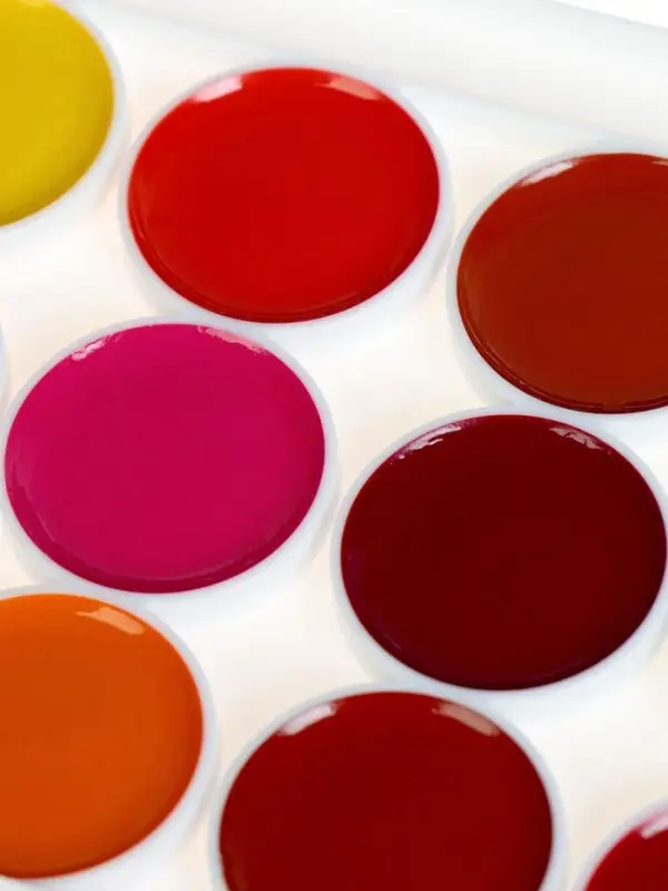 Акварель &laquo;Луч. ZOO&raquo;, 24 цвета, без кисти