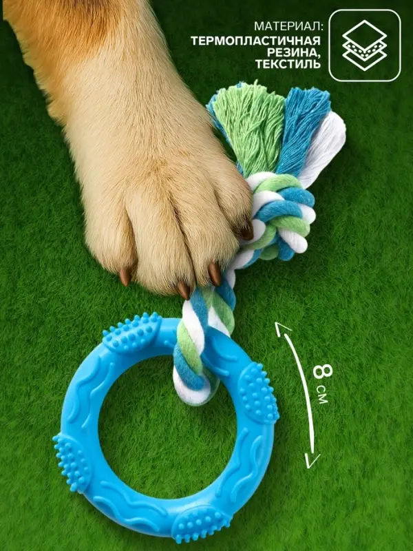 Игрушка жевательная с канатом &laquo;Кусочек солнца&raquo;, 8 см, голубая