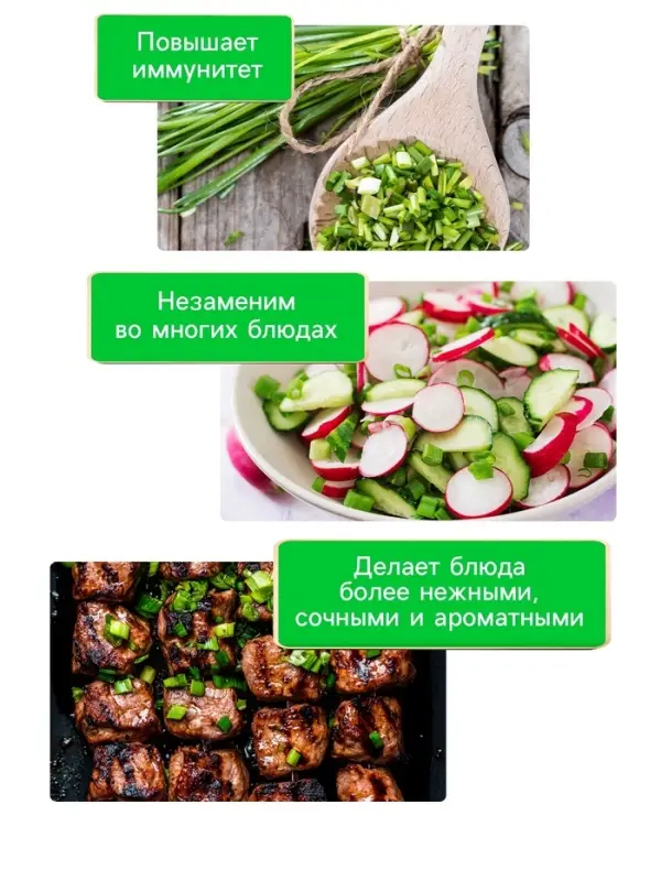 Семена Лук-батун &laquo;Русский зимний&raquo;, 0.5 г, многолетник, &laquo;Рецепты дедушки Никиты&raquo;