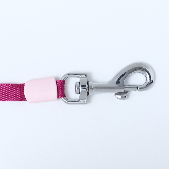 Рулетка с системой эффективного скручивания поводка, 5 м, до 20 кг, розово-бордовая Рулетка с системой эффективного скручивания поводка, 5 м, до 20 кг, розово-бордовая