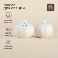 Набор для специй SL Home &laquo;Осенний бриз&raquo;, 2 предмета, 100 мл, доломит, белый