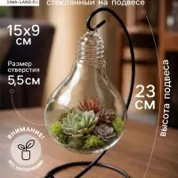 Флорариум &laquo;На подвесе&raquo;, 23 см лампочка, 15&times;9 см, d=5.5 см