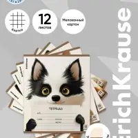 Тетрадь 12 листов в клетку ErichKrause Note Friends, МИКС