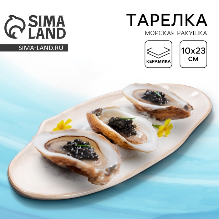 Тарелка керамическая «Морская ракушка», 10 х 23 см белая, цвет белый