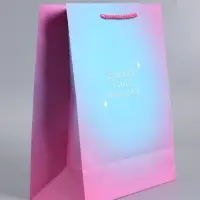 Пакет подарочный "Только начинается" ламинированный 26 х 12 х 32 см