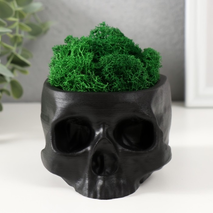 Кашпо бетонное Кашпо бетонное "Череп" со мхом черный 13х9х6,5 см (мох зеленый стабилизированный)