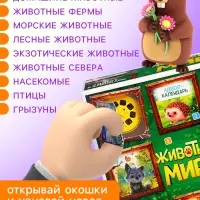 Адвент - календарь с проектором ZABIAKA &laquo;Животные мира&raquo;, 9 слайдов в наборе