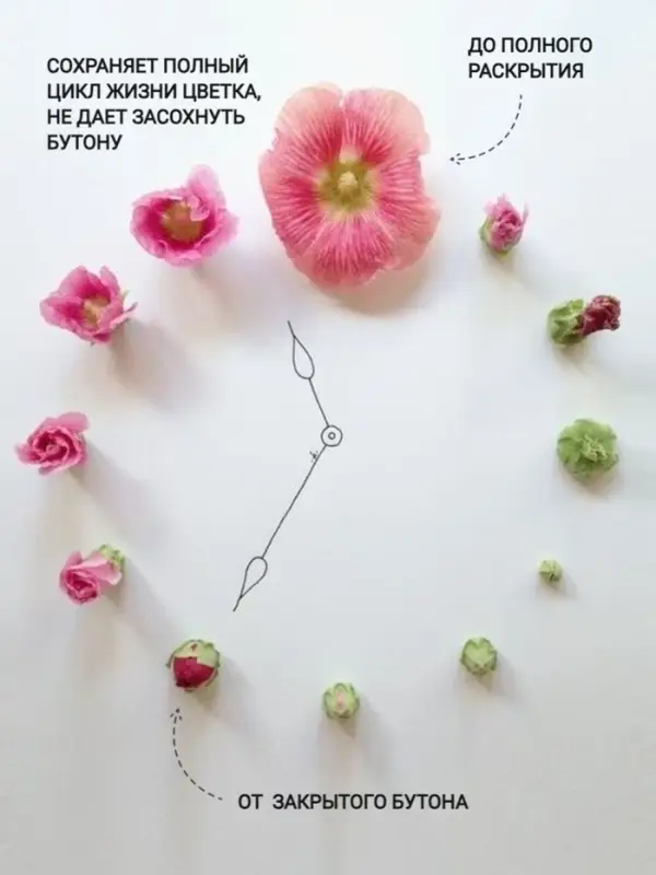 Удобрение для срезанных цветов "Срезка", 5г набор 1000шт