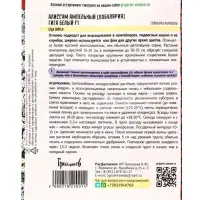 Семена цветов Алиссум Гига Белый (Giga White)  5м.др. 12.29 г.