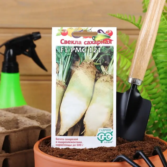 Семена Свекла "Сахарная", ц/п,   F1, 3 г