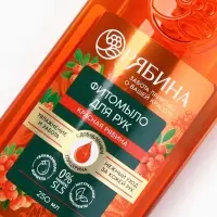 Мыло жидкое для рук, увлажнение и забота, аромат рябины, 250 мл, Рябина