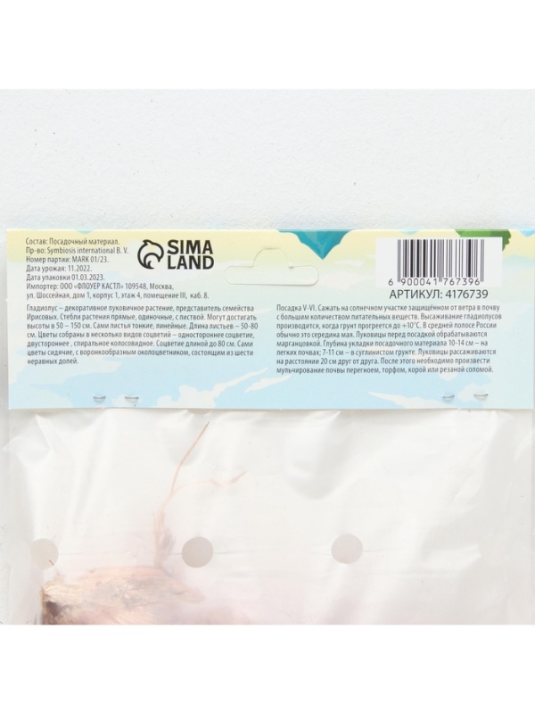 Гладиолус примуловидный «Атом», луковица цветов в пакете с перфорацией, р-р 10+, 7 шт.