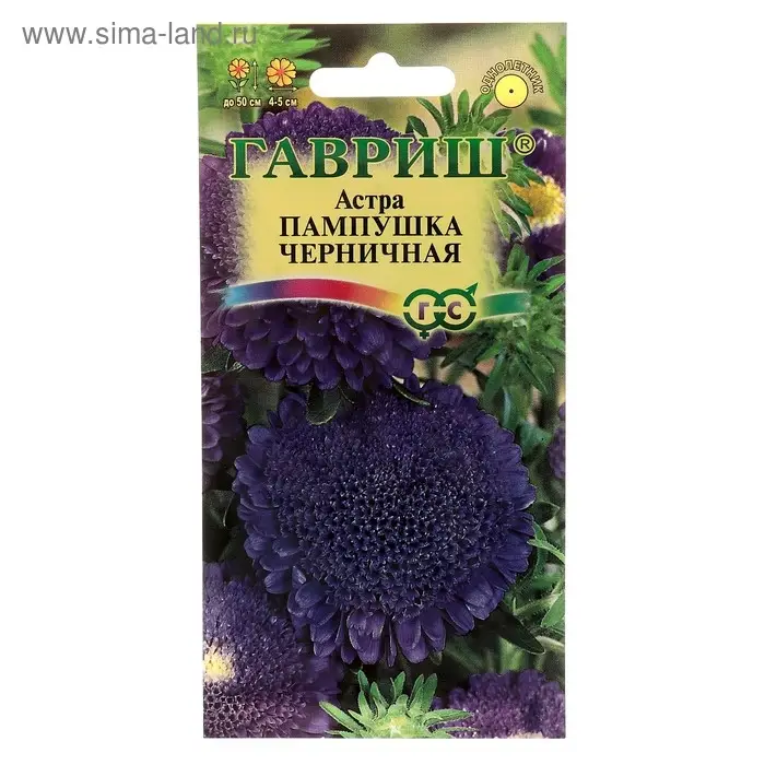 Семена цветов Астра Пампушка черничная, помпонная, О, ц/п, 0,3 г
