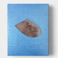 Сиденье для унитаза с крышкой &laquo;Натуральное дерево&raquo;, 45&times;35 см, цвет орех