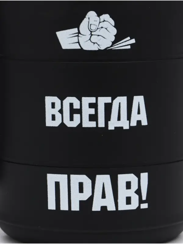 Термокружка &laquo;Прав&raquo;, 450 мл, сохраняет температуру до 2 ч, 12.5&times;10.5 см