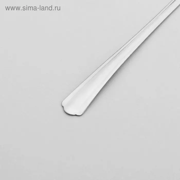 Ложка для специй из нержавеющей стали «Новинка», длина 12,5 см, толщина 1,2 мм, упрощённой обработки, цвет серебряный Ложка для специй из нержавеющей стали «Новинка», длина 12,5 см, толщина 1,2 мм, упрощённой обработки, цвет серебряный