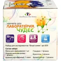 Набор опытов БрикНик &laquo;Мыло-лизун. Тропический фреш&raquo;, серия Юный Химик