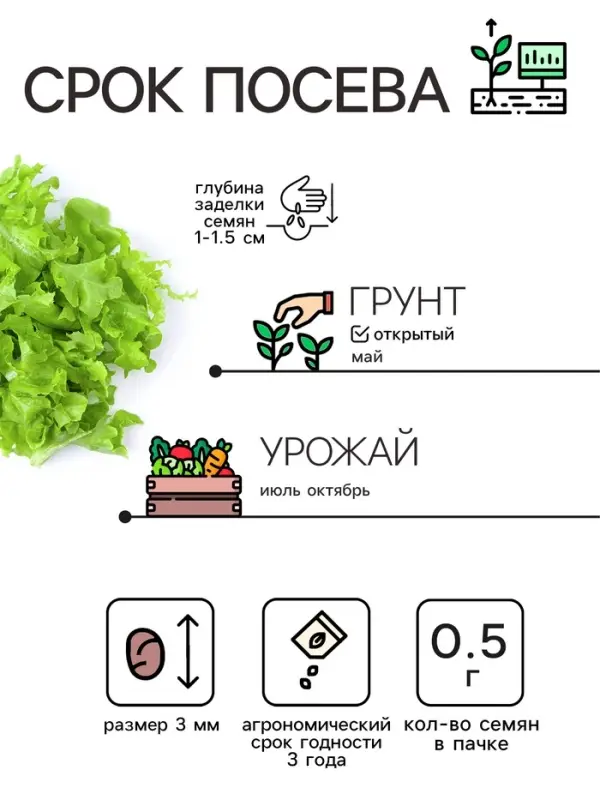 Семена Сельдерей &laquo;Листовой&raquo;, 0.5 г, &laquo;Рецепты дедушки Никиты&raquo;