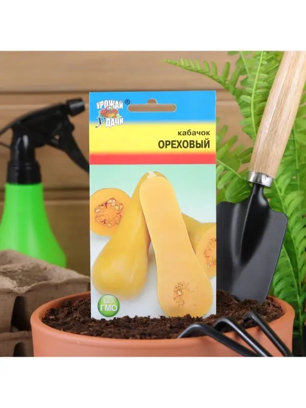 Набор семян Кабачок Набор семян Кабачок "ОРЕХОВЫЙ", 5 шт.