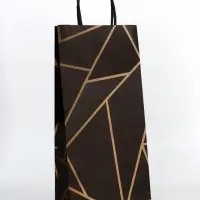 Пакет крафт под бутылку «Геометрия», 14×8×32 см