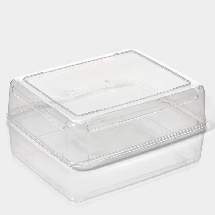 Контейнер для хранения яиц Доляна, 20 ячеек, 27.5&times;22&times;7 см, пластик, прозрачный, голубой