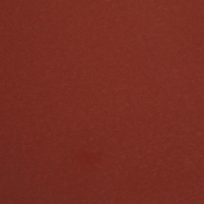 Круг абразивный шлифовальный под  Круг абразивный шлифовальный под "липучку" ТУНДРА, 150 мм, Р1500, 5 шт.