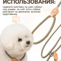 Ринговка для собак, 150&times;0.6 см, бежевая
