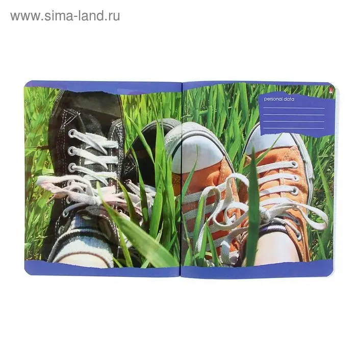 Тетрадь 48 листов в клетку Тетрадь 48 листов в клетку "Кедомания", обложка мелованный картон, гибридный лак, МИКС