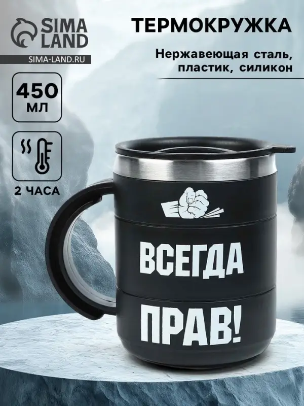 Термокружка &laquo;Прав&raquo;, 450 мл, сохраняет температуру до 2 ч, 12.5&times;10.5 см