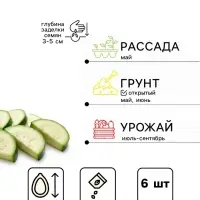 Семена Кабачок цуккини &laquo;Жар Птица&raquo;, F1, 6 шт., &laquo;Уральский дачник&raquo;