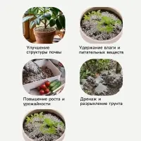 Цеолит Садовый &laquo;Рецепты Дедушки Никиты&raquo; фр 2-5 3 л