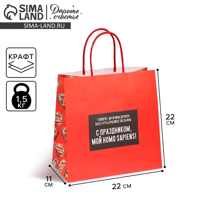 Пакет подарочный, упаковка, «Обезьяна», 22 х 22 х 11 см Пакет подарочный, упаковка, «Обезьяна», 22 х 22 х 11 см