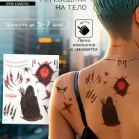 Переводные тату на тело цветные «Скелет в плаще», 12×14 см