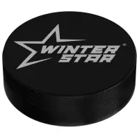 Шайба хоккейная Winter Star, взрослая, d=7.6 см